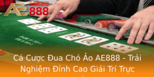 Ca Cuoc Ua Cho Ao Ae888 Trai Nghiem Inh Cao Giai Tri Truc Tuyen
