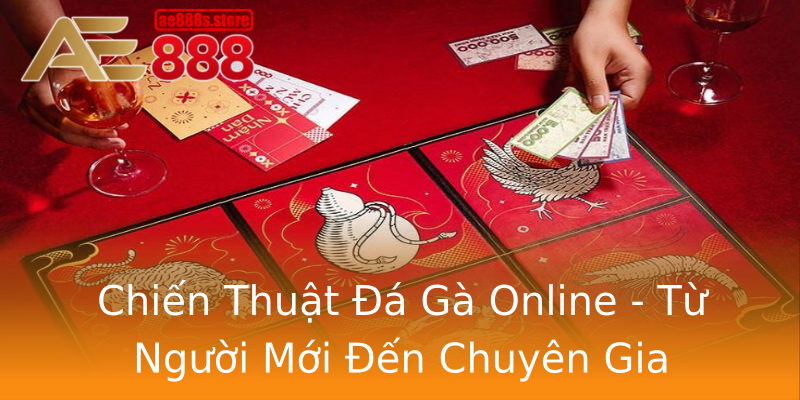 Chiến Thuật Đá Gà Online - Từ Người Mới Đến Chuyên Gia Chiến Thuật Đá Gà Online - Từ Người Mới Đến Chuyên Gia