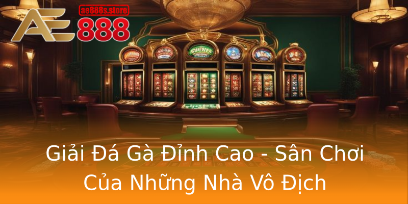 Giải Đá Gà Đỉnh Cao - Sân Chơi Của Những Nhà Vô Địch Giải Đá Gà Đỉnh Cao - Sân Chơi Của Những Nhà Vô Địch