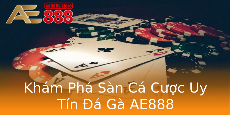 Khám Phá Sàn Cá Cược Uy Tín Đá Gà AE888 Khám Phá Sàn Cá Cược Uy Tín Đá Gà AE888