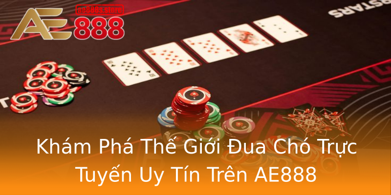 Khám Phá Thế Giới Đua Chó Trực Tuyến Uy Tín Trên AE888 Khám Phá Thế Giới Đua Chó Trực Tuyến Uy Tín Trên AE888