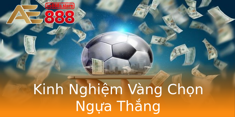 Kinh Nghiệm Vàng Chọn Ngựa Thắng Kinh Nghiệm Vàng Chọn Ngựa Thắng