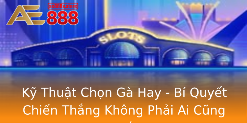 Kỹ Thuật Chọn Gà Hay - Bí Quyết Chiến Thắng Không Phải Ai Cũng Biết Kỹ Thuật Chọn Gà Hay - Bí Quyết Chiến Thắng Không Phải Ai Cũng Biết