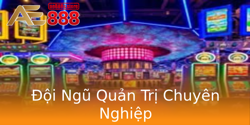 Đội Ngũ Quản Trị Chuyên Nghiệp Đội Ngũ Quản Trị Chuyên Nghiệp