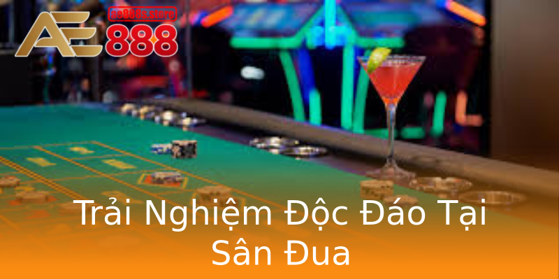 Trải Nghiệm Độc Đáo Tại Sân Đua Trải Nghiệm Độc Đáo Tại Sân Đua
